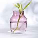 spray color glass vase